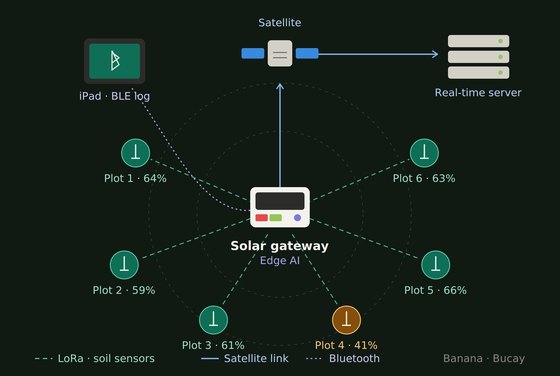 Star topology diagram of the LoRa sensor network, solar gateway and satellite uplink.